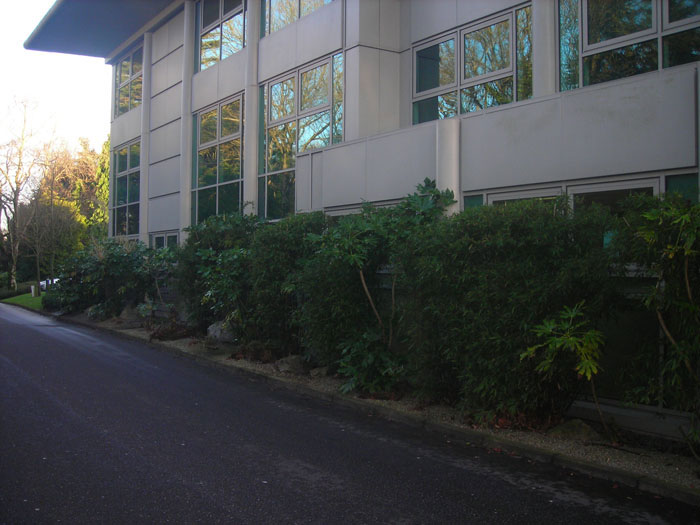 Commercial Landscaping 2